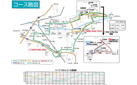 第74回山田敬藏記念ロードレース大会　ハーフマラソン出走権（1名分）　【110P8404】