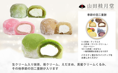 <山田桂月堂>羽二重餅 6個入り 【30P5607】