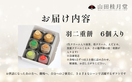 <山田桂月堂>羽二重餅 6個入り 【30P5607】