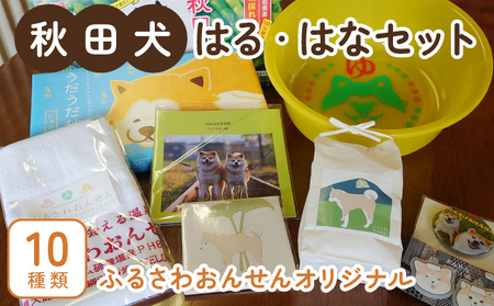 ふるさわおんせんオリジナル秋田犬はる・はなセット 175P7801 | 秋田県