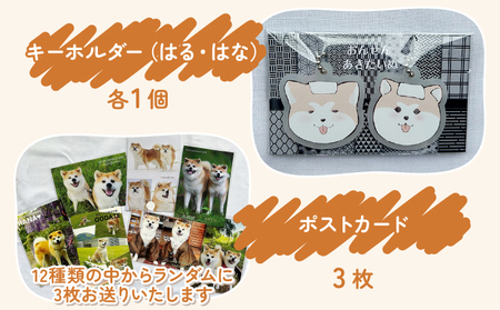 ふるさわおんせんオリジナル秋田犬はる・はなセット 175P7801 | 秋田県