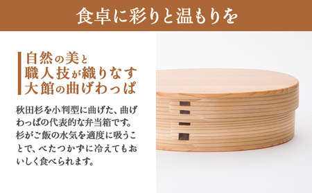 曲げわっぱの小判弁当〔小〕 185P6007