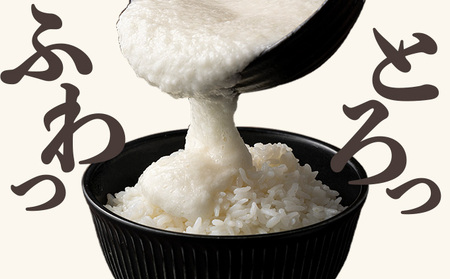 【2ヶ月定期便】冷凍とろろ1キロセット(50g×20袋) 75P3204