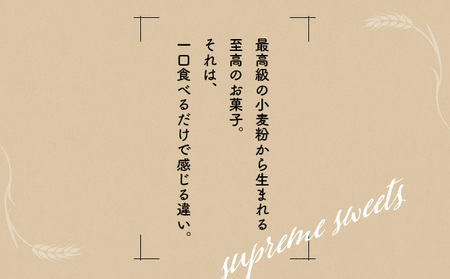 カットケーキセット フルーツ・チョコ各5個　60P5608