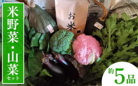 米野菜・山菜セット（5品目ほど）【115P3203】
