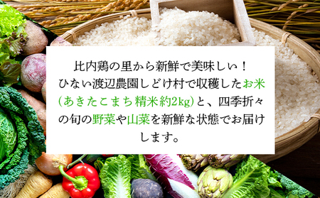 米野菜・山菜セット（5品目ほど）【115P3203】