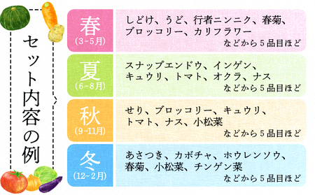 米野菜・山菜セット（5品目ほど）【115P3203】