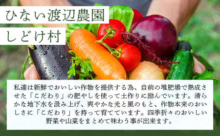 米野菜・山菜セット（5品目ほど）【115P3203】