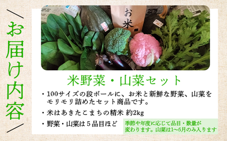 米野菜・山菜セット（5品目ほど）【115P3203】