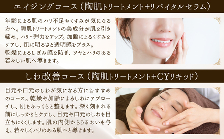 エイジングコース（陶肌トリートメント＋リバイタルセラム）　230P8402
