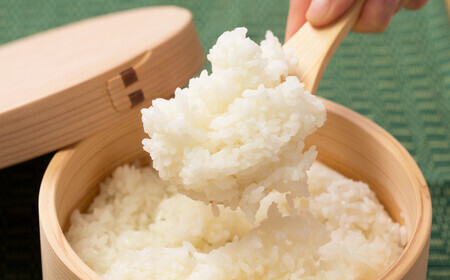 【令和7年産先行受付】秋田県産「あきたこまち（無洗米）」 5kg（5kg×1袋） 75P9203