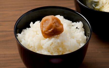 【令和7年産先行受付】秋田県産「あきたこまち（無洗米）」 5kg（5kg×1袋） 75P9203