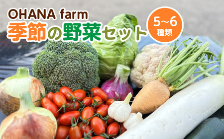 季節の野菜セット 5～6種類　【70P3207】
