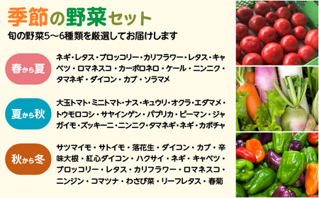 季節の野菜セット 5～6種類　【70P3207】