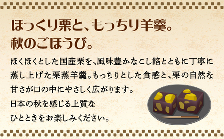 栗蒸し羊羹　８個入り　30P5613