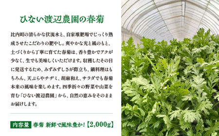 春菊 新鮮で風味豊か！ 約2,000g【90P3203】