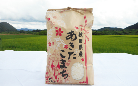 【令和7年産】あきたこまち（精米）5kg(5kg×1袋)　【75P9016】