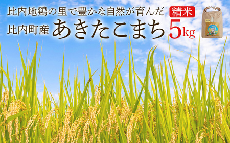 【令和7年産】あきたこまち(精米)5kg(5kg×1袋) 【85P9003】
