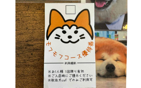 もふもふ秋田犬ふれあい体験30分 大人(中学生以上) 1名様(ふれあい10分・1ドリンク付) 【35P8401】
