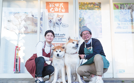 もふもふ秋田犬ふれあい体験30分 大人(中学生以上) 1名様(ふれあい10分・1ドリンク付) 【35P8401】