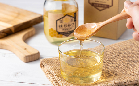 アカシア蜂蜜 500g 50P5409