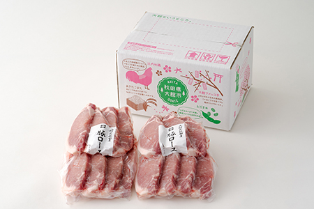 50P2159 大館北秋田産豚ロース1.5kg（100g×7枚、100g×8枚）
