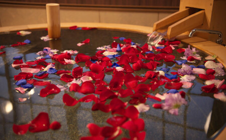 【特別室】日景温泉1泊2食付きペア宿泊券 1500P8403