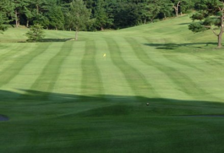 50P8401 【大館カントリークラブ】ゴルフ場利用券(3,000円分)【配送日指定不可】