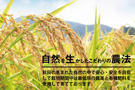 【令和6年産】さいとうさん家のあきたこまち5kg(5kg×1袋)　40P9014