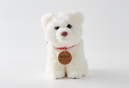 65P7305 秋田犬白毛(鼻ピンク)ぬいぐるみ　座りＭサイズ