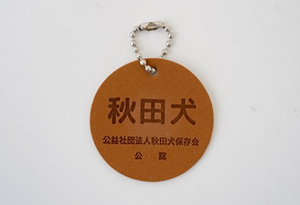 65P7305 秋田犬白毛(鼻ピンク)ぬいぐるみ　座りＭサイズ