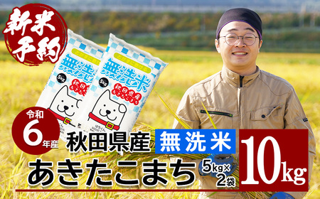 【新米】【令和6年産】秋田県産「あきたこまち（無洗米）」 10kg（5kg×2袋） 105P9208