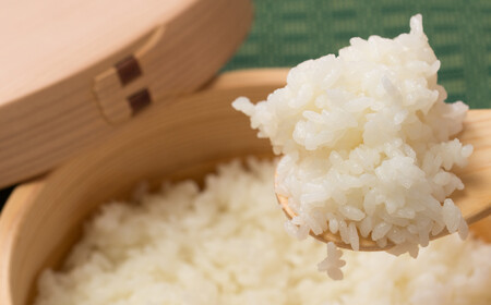 【定期便3ヶ月】秋田県産米「あきたこまち（無洗米）」 10kg（5kg×2袋）　300P9204