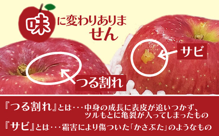 【数量限定・期間限定】陽気な母さんの【訳あり】りんご「ふじ」　10kg　85P3401