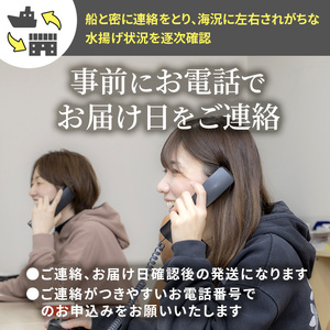 男鹿沖産紅ズワイガニ600g前後 2匹 男鹿なび 秋田県男鹿市 ふるさと納税サイト ふるなび