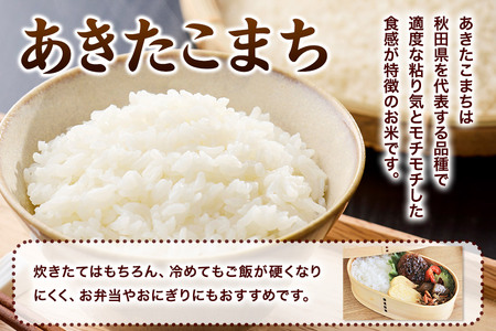 ＜令和7年産＞あきたこまち 白米 10kg（5kg×2袋）秋田県 男鹿市 鈴木農産
