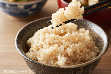 <令和7年産>「秋田県男鹿市北浦産」あきたこまち(玄米)10kg(5kg×2袋)