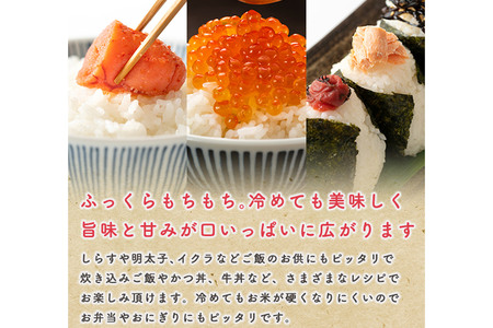 《定期便9ヶ月》令和7年産 【無洗米】 あきたこまち 5kg