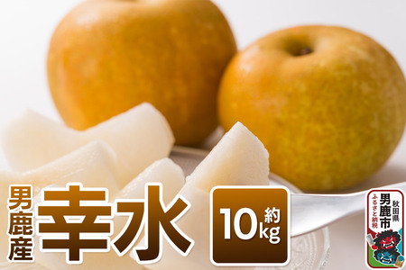 【令和8年度 早期受付】幸水 約10kg 9月上旬～9月中旬発送 梨 旬の果物 ギフト 秋田県 男鹿市 男鹿ファーム直売所