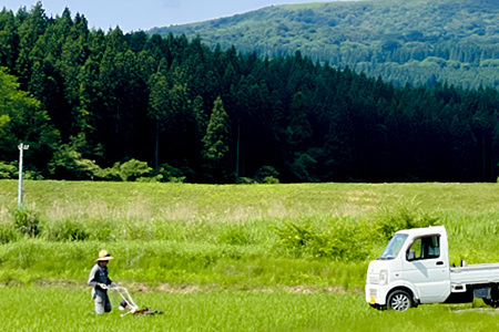 【栽培期間中農薬不使用】令和7年産 あきたこまち 白米 5kg×1袋 ※MOA自然農法実施ほ場