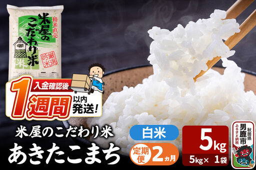 令和7年産《定期便2ヶ月》『米屋のこだわり米』あきたこまち 白米 （5kg×1袋） 吉運商店 秋田県 男鹿市 精米 お米 お弁当 おにぎり
