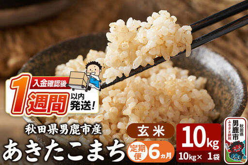 令和7年産《定期便6ヶ月》あきたこまち 玄米 10kg（10kg×1袋） 吉運商店 秋田県 男鹿市 お米 お弁当 おにぎり
