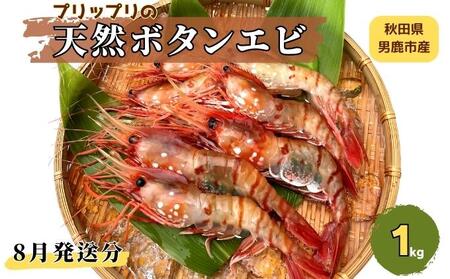 数量 限定 8月発送分 ボタンエビ 約1kg エビ の大きさおまかせ 秋田県男鹿市 ふるさと納税サイト ふるなび