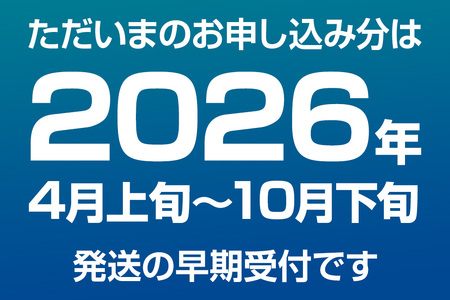 《先行受付 2026年4月上旬より発送》産地直送 ナンバンエビ 約1kg! ぷりっぷりでとろける甘さ お刺身や海鮮丼に 秋田県 男鹿市 萬漁水産