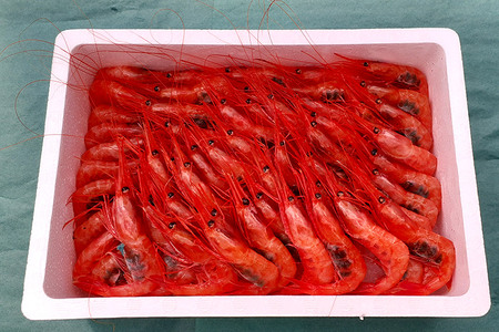 《先行受付 2026年4月上旬より発送》産地直送 ナンバンエビ 約1kg! ぷりっぷりでとろける甘さ お刺身や海鮮丼に 秋田県 男鹿市 萬漁水産