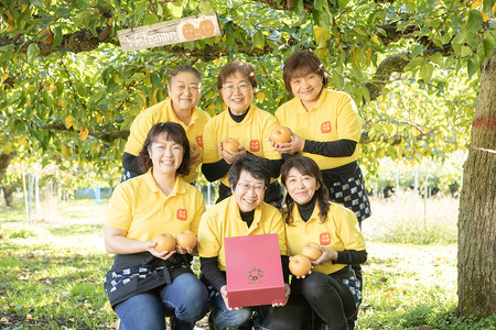 【令和8年度 早期受付】あきづき 梨 6玉 3L 梨 なし ナシ 秋田県 男鹿市 旬の果物 フルーツ