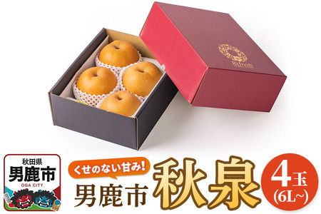 【令和8年度 早期受付】秋泉 梨 4玉 6L～ 梨 なし ナシ 秋田県 男鹿市 旬の果物 フルーツ