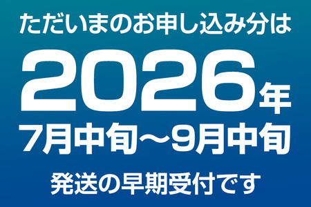 ババヘラ・メロンバラ盛りカップ&タッパアイスセット【進藤冷菓】 ご当地アイス