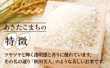 【定期便8ヶ月】あきたこまち 無洗米 10kg（5kg×2袋）令和7年産【秋田食糧卸販売】