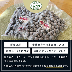 【男鹿ぶるーべりーガーデン】 冷凍ブルーベリー500g×2パック（合計1kg）